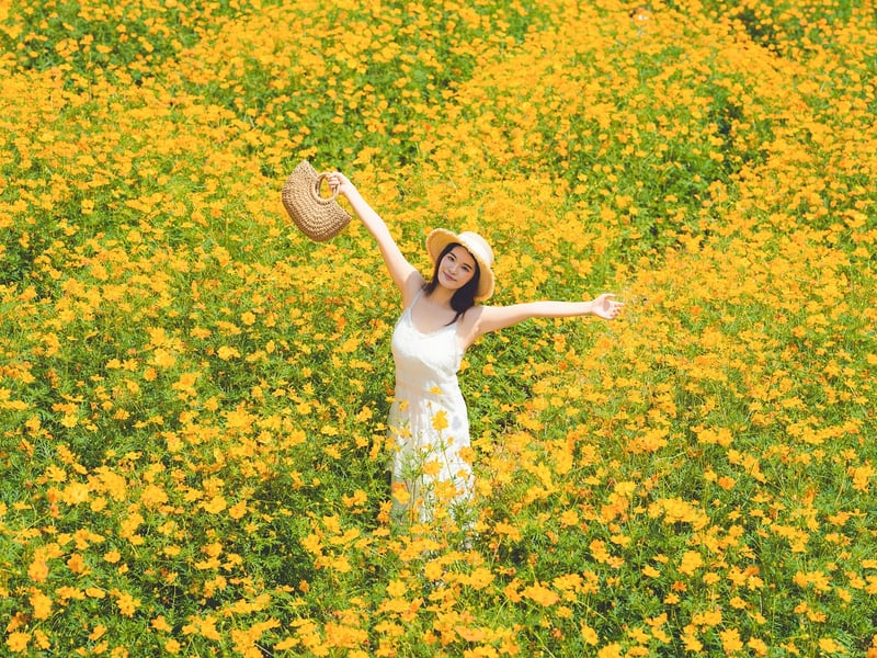 Whimsical Gown Example